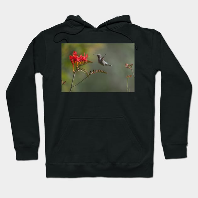 850_5886 Hoodie by wgcosby